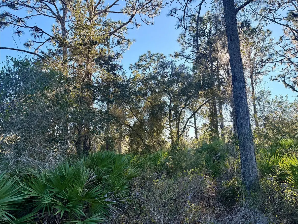 903 Hibiscus Drive, Indian Lake Estates, FL 33855 - #1