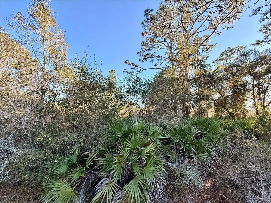 903 Hibiscus Drive, Indian Lake Estates, FL 33855 - #2