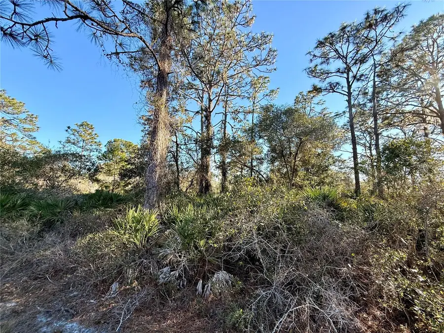 903 Hibiscus Drive, Indian Lake Estates, FL 33855 - #3