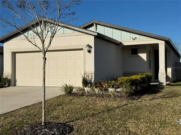 3719 Radiant Mountain Drive, PLANT CITY, FL 33565