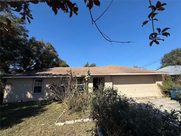 234 Trailview Way, POLK CITY, FL 33868