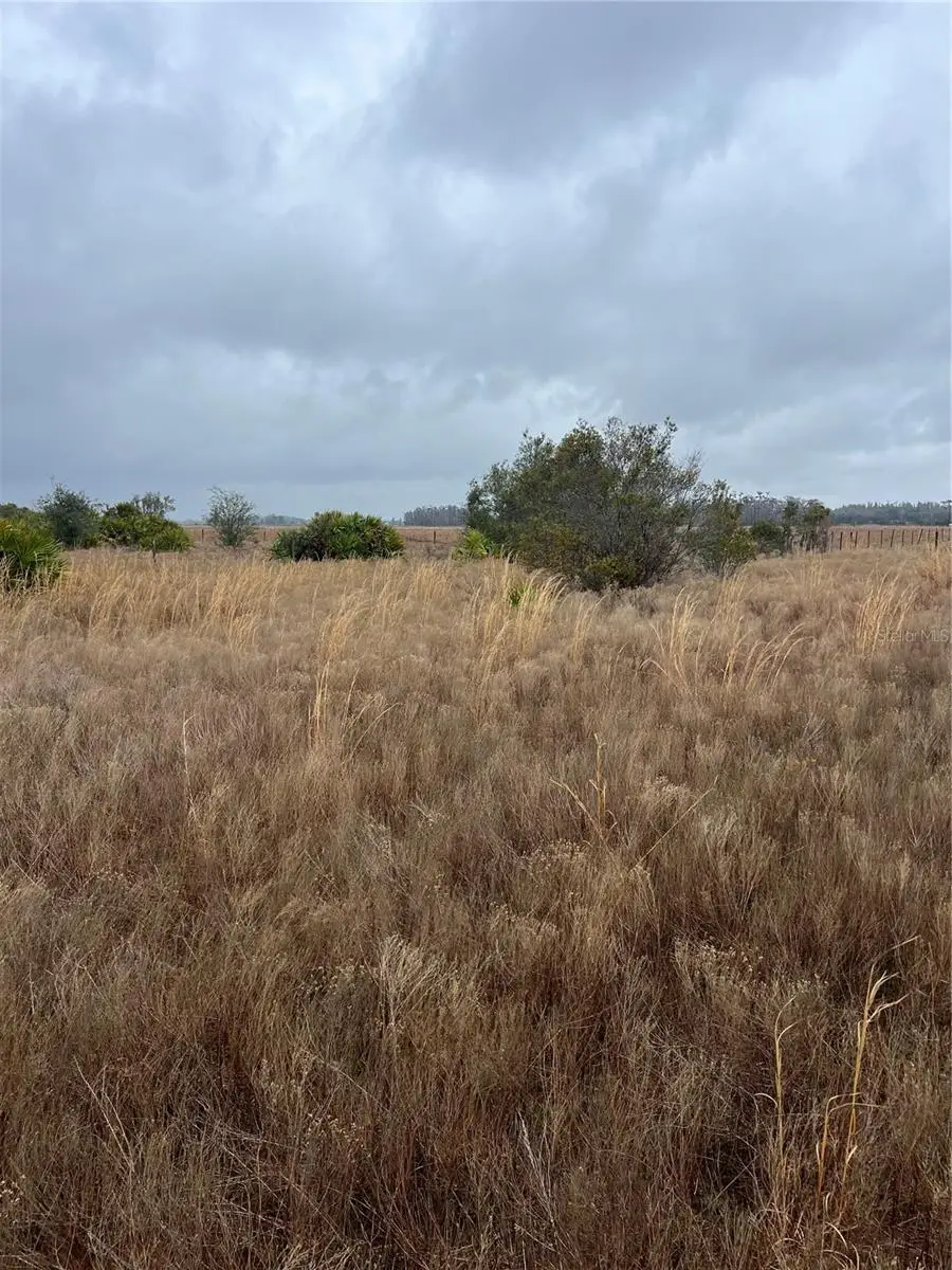 1137 Hopkins Lane, Zolfo Springs, FL 33890 - #2