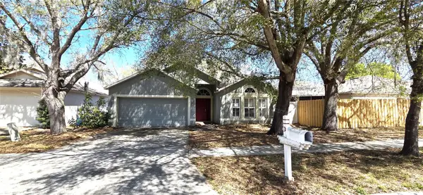 4716 Little Denise Court, VALRICO, FL 33594