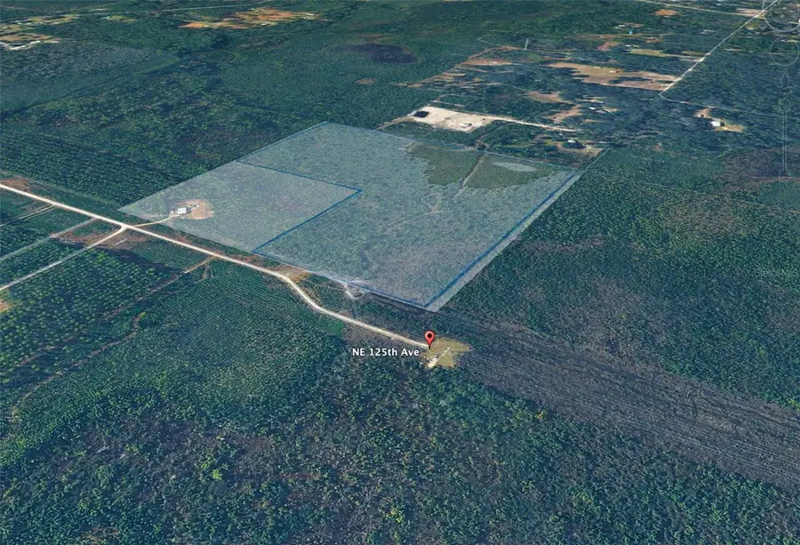 0 NE 125th Avenue, Fort McCoy Anthony, FL 32134 - #2