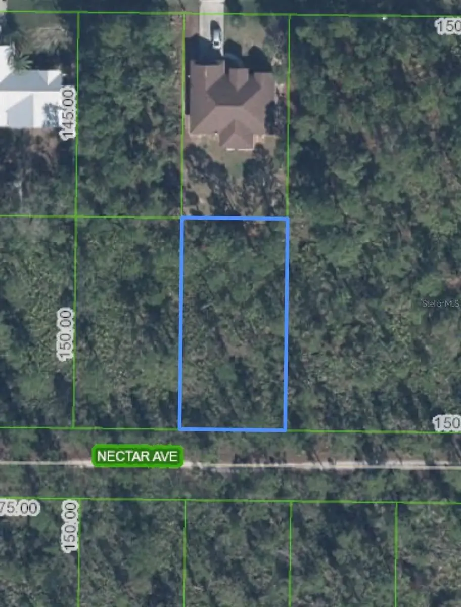 1702 Nectar Avenue, Sebring, FL 33875 - #1