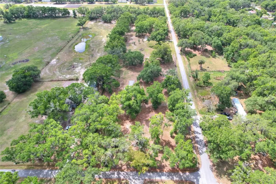 1445 Carter Street, Auburndale, FL 33823 - #2