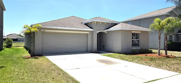 10033 Crested Fringe Drive, RIVERVIEW, FL 33578