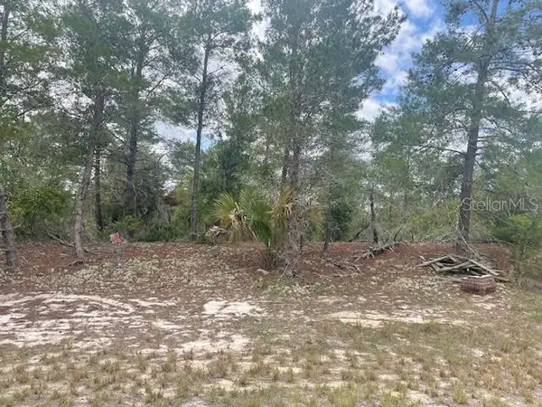 1342 Homosassa Drive, POINCIANA, FL 34759