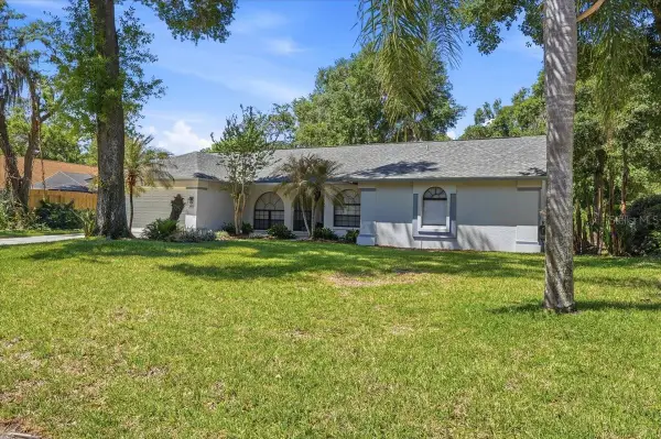 2800 Hammock Drive, PLANT CITY, FL 33566