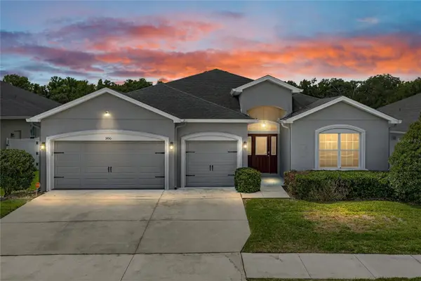 1450 Cypress View Lane, LAKELAND, FL 33811