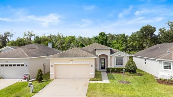 6246 Silver Leaf Lane, LAKELAND, FL 33813
