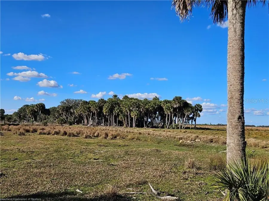 320 Grigsby Road, Venus, FL 33960 - #3