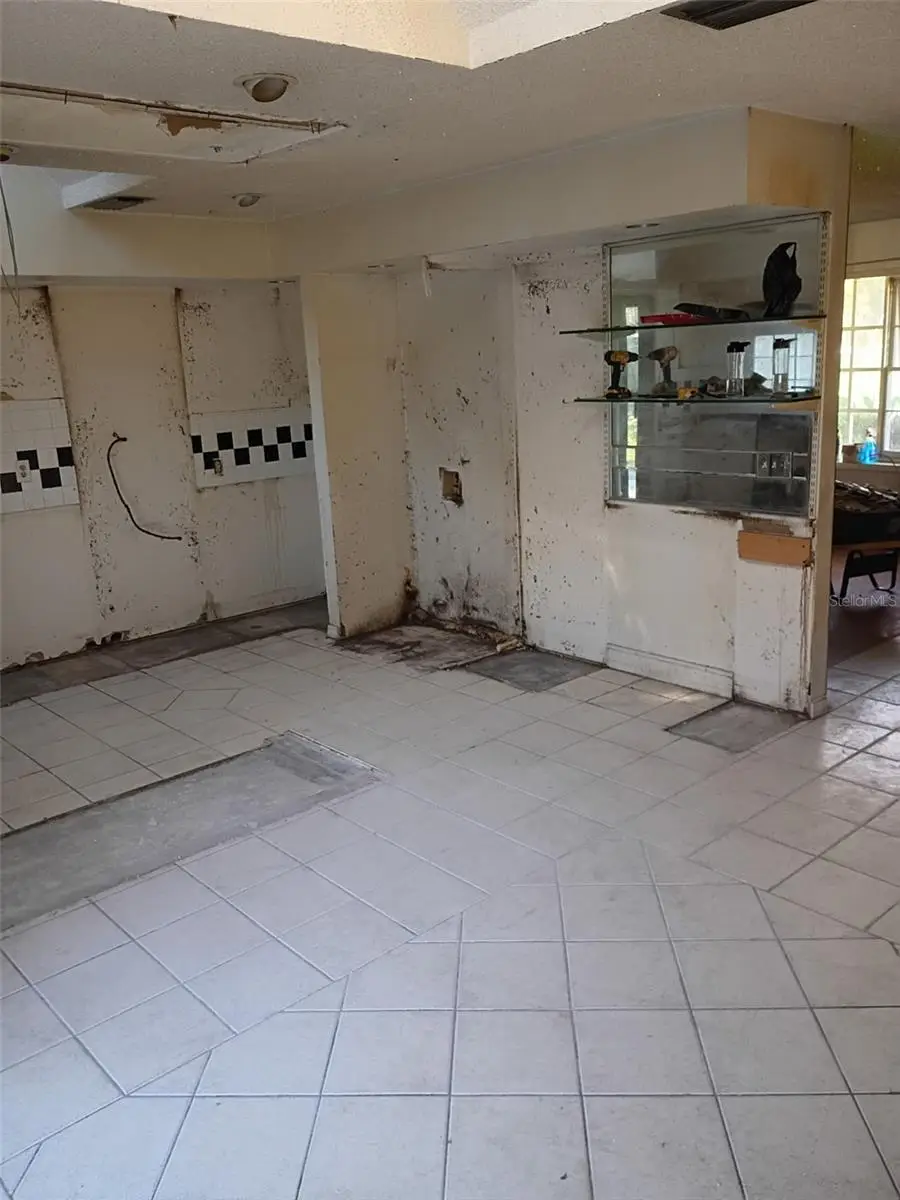 225 Fernery Road, Lakeland, FL 33809 - #3
