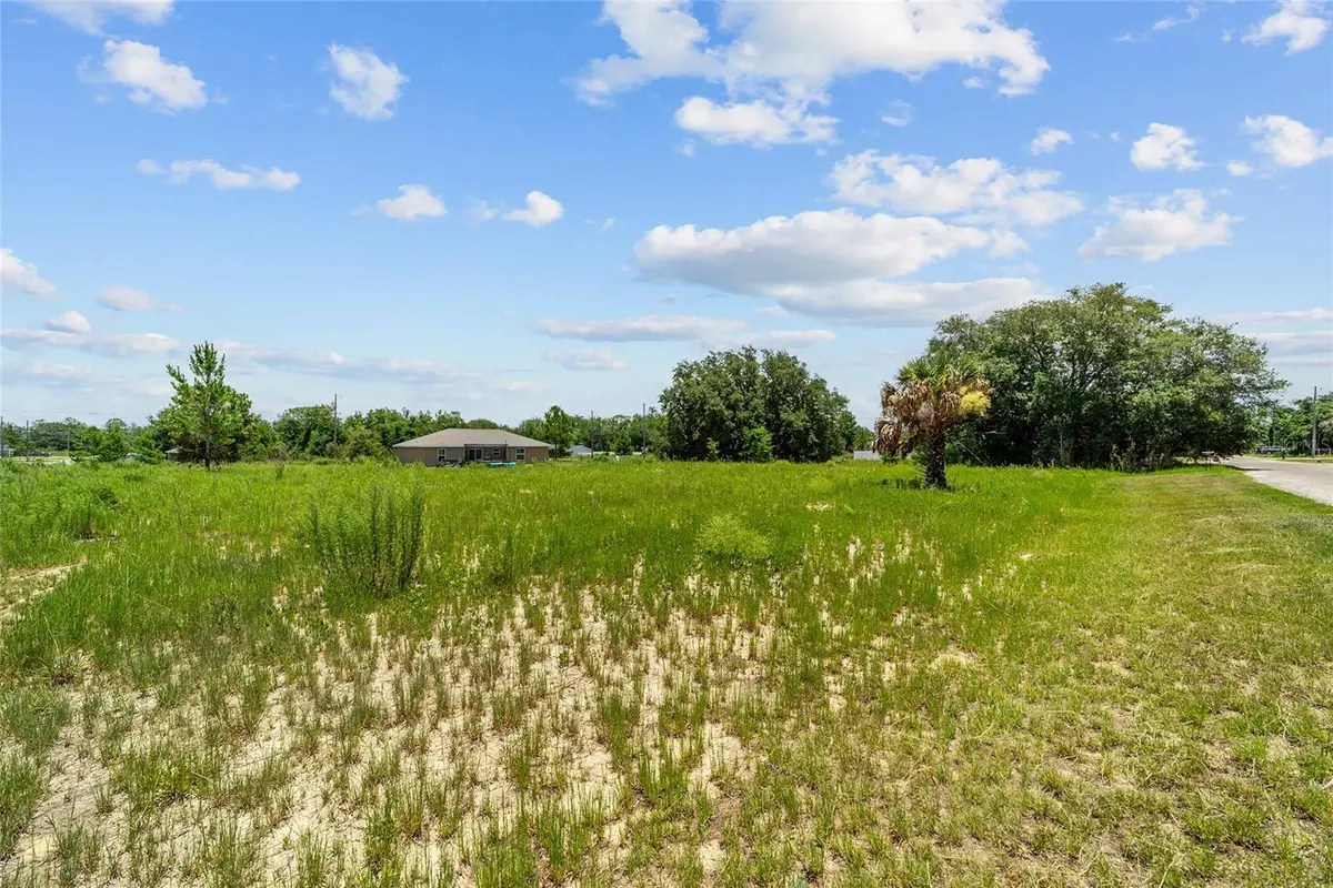 0 Malauka Loop, Ocklawaha, FL 32179 - #1