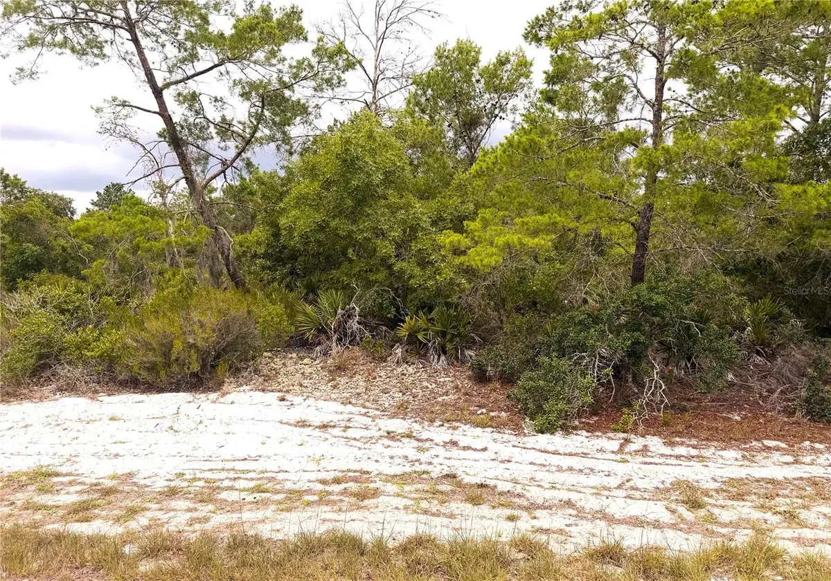 209 Coolidge Avenue Ne, Lake Placid, FL 33852 - #1