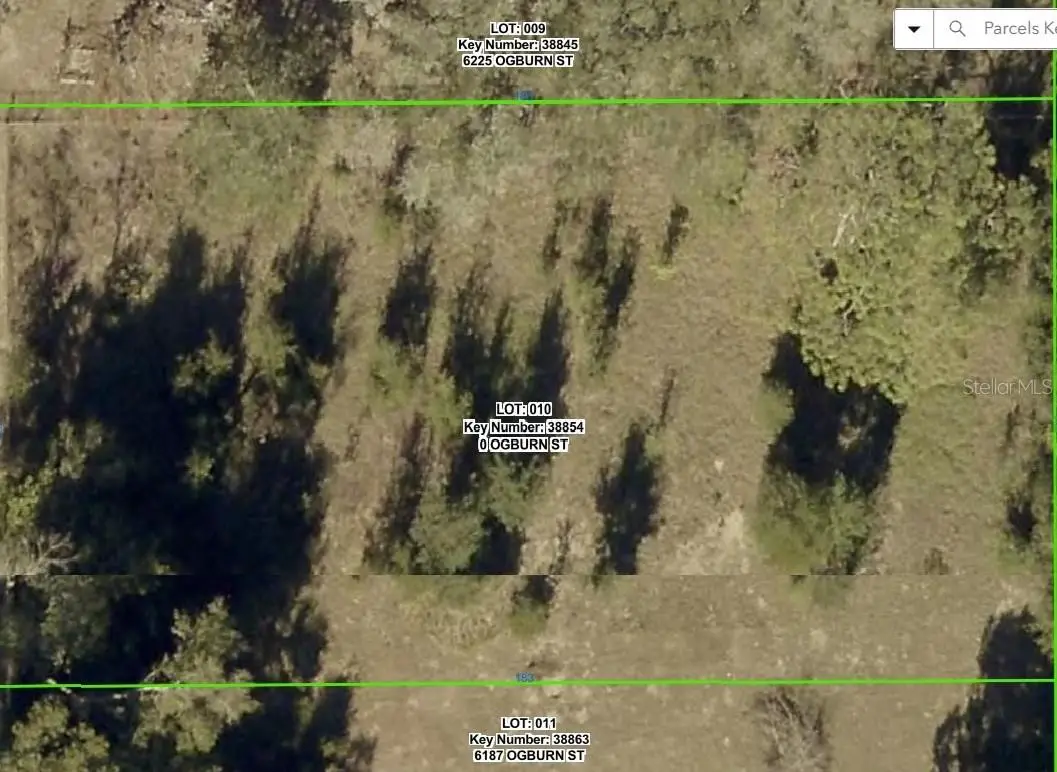 0 Ogburn Street, Brooksville, FL 34602 - #1