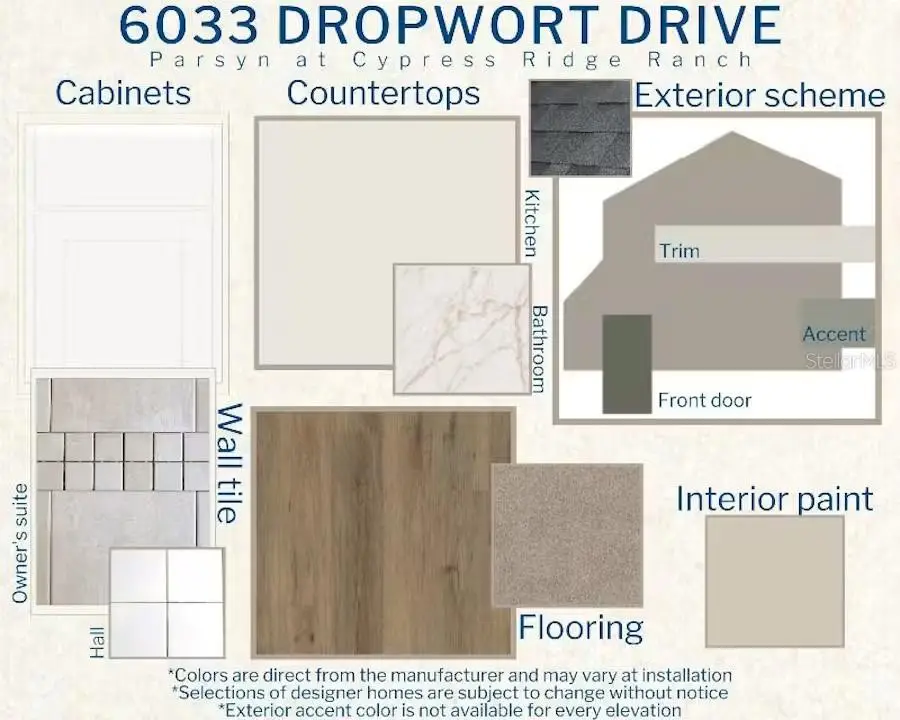 6033 Dropwort Drive, Wimauma, FL 33598 - #3
