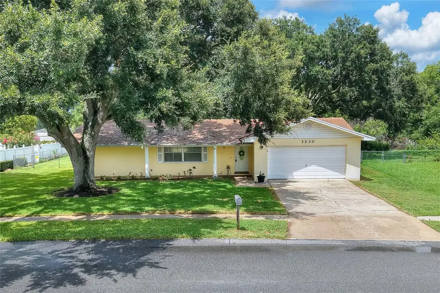 3230 Cross Fox Drive, Mulberry, FL 33860 - #2