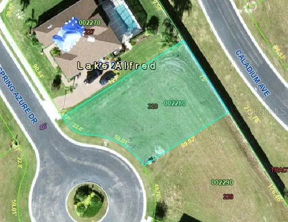 210 Spring Azure Drive, Lake Alfred, FL 33850 - #2