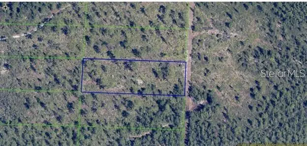 Dill Road, Orlando, FL 32820 - #2
