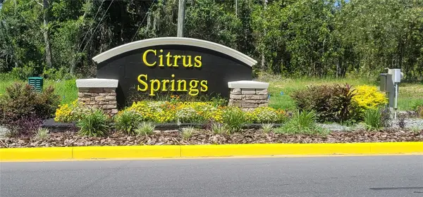 10339 N G Martinelli Boulevard, CITRUS SPRINGS, FL 34433