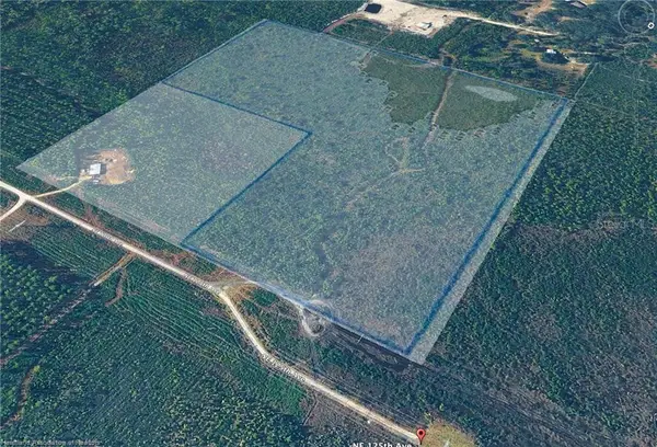 0 NE 125th Avenue, FORT MC COY, FL 32134