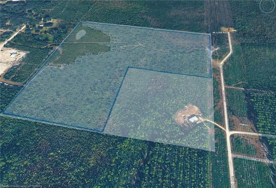 0 NE 125th Avenue, Fort McCoy Anthony, FL 32134 - #2