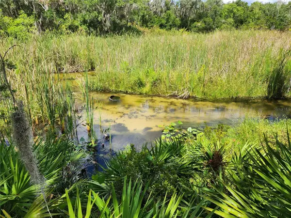 Deer Road, FROSTPROOF, FL 33843