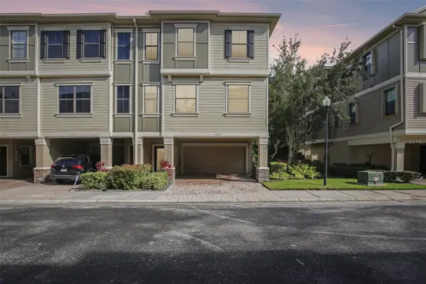 6223 Anhinga Place, TAMPA, FL 33615