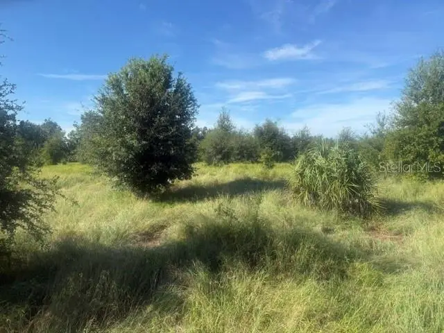 Welcome Road #Lot 1, Lithia, FL 33547 - #2