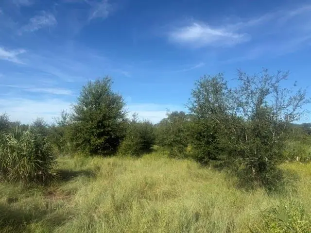 Welcome Road #Lot 1, Lithia, FL 33547 - #3