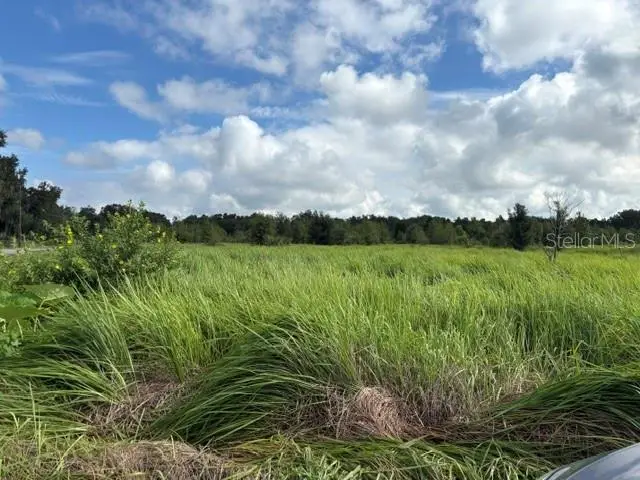 Walter Hunter Road #Lot 1, Lithia, FL 33547 - #1