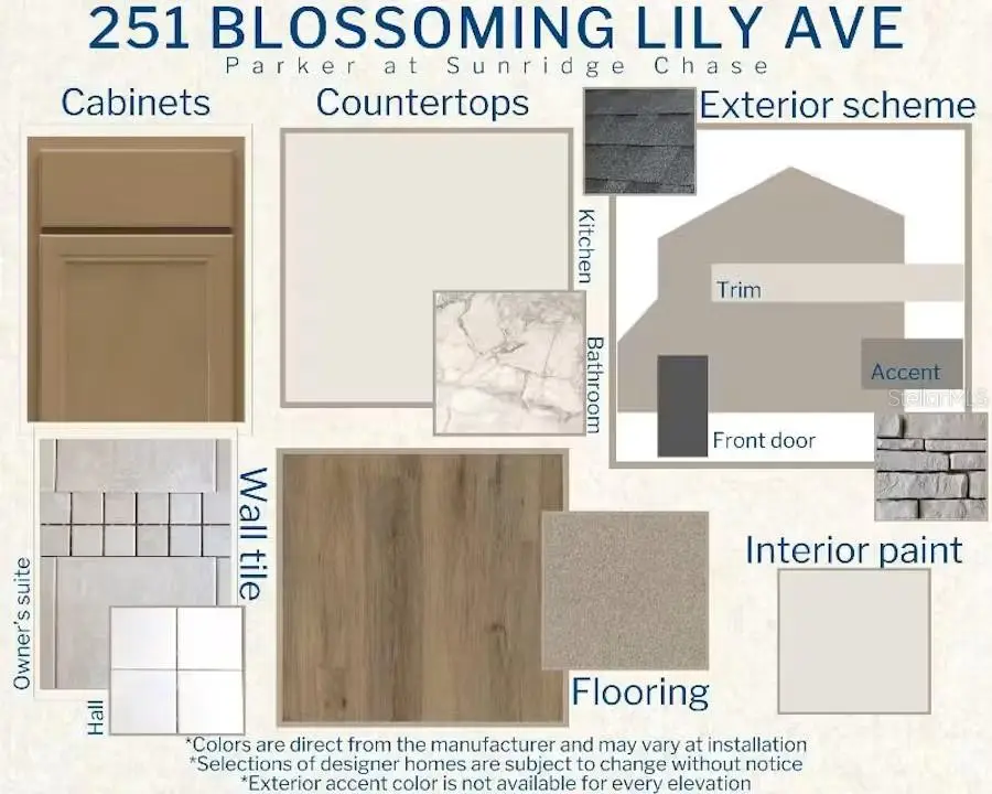 251 Blossoming Lily Avenue, Ruskin, FL 33570 - #3