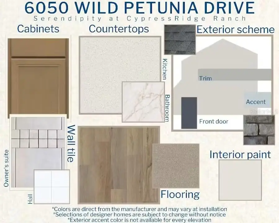 6050 Wild Petunia Drive, Wimauma, FL 33598 - #3
