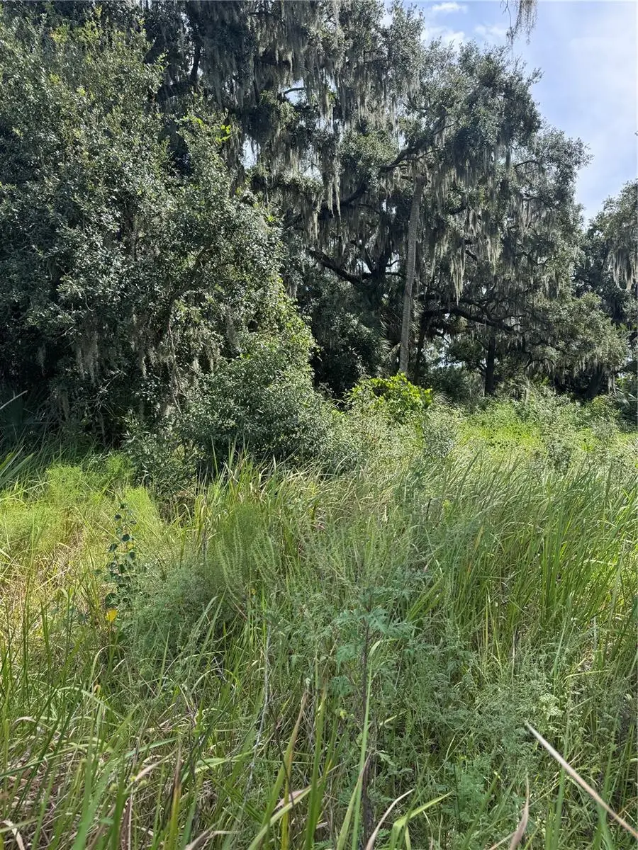 0 Medulla Road, Lakeland, FL 33811 - #3
