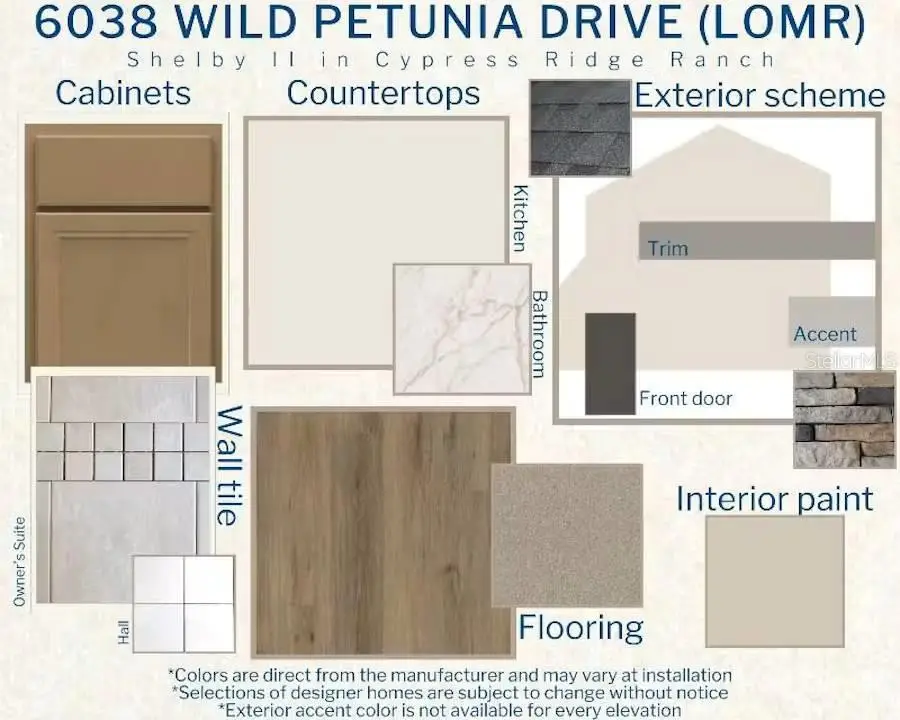 6038 Wild Petunia Drive, Wimauma, FL 33598 - #3