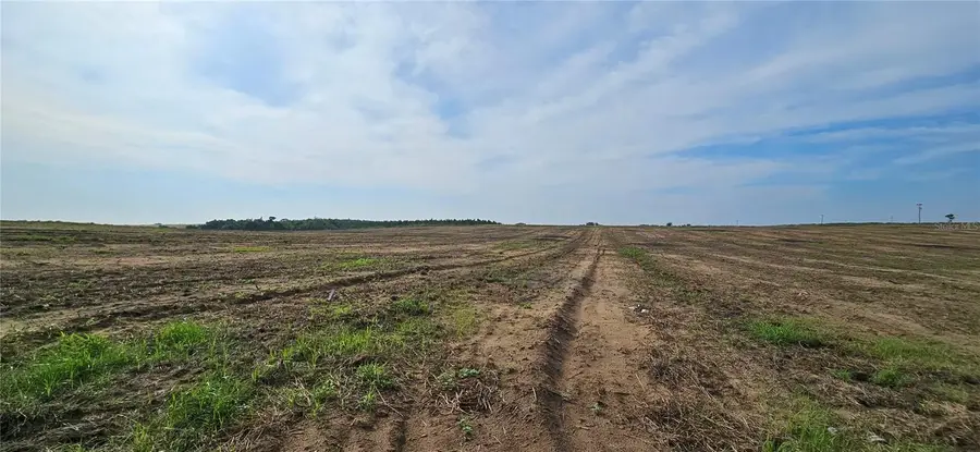 Golden Bough Road, Lake Wales, FL 33898 - #2