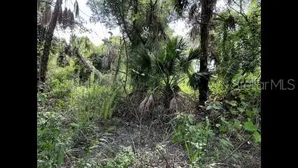 Alpen Avenue, NORTH PORT, FL 34291