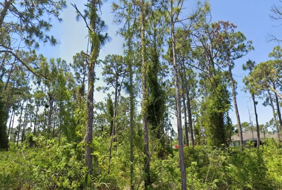 14209 Naylor Avenue, Port Charlotte, FL 33981 - Image #1