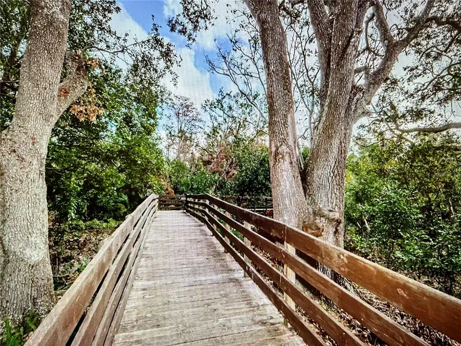 10201 Takomah Trail, Tampa, FL 33617 - Image #3