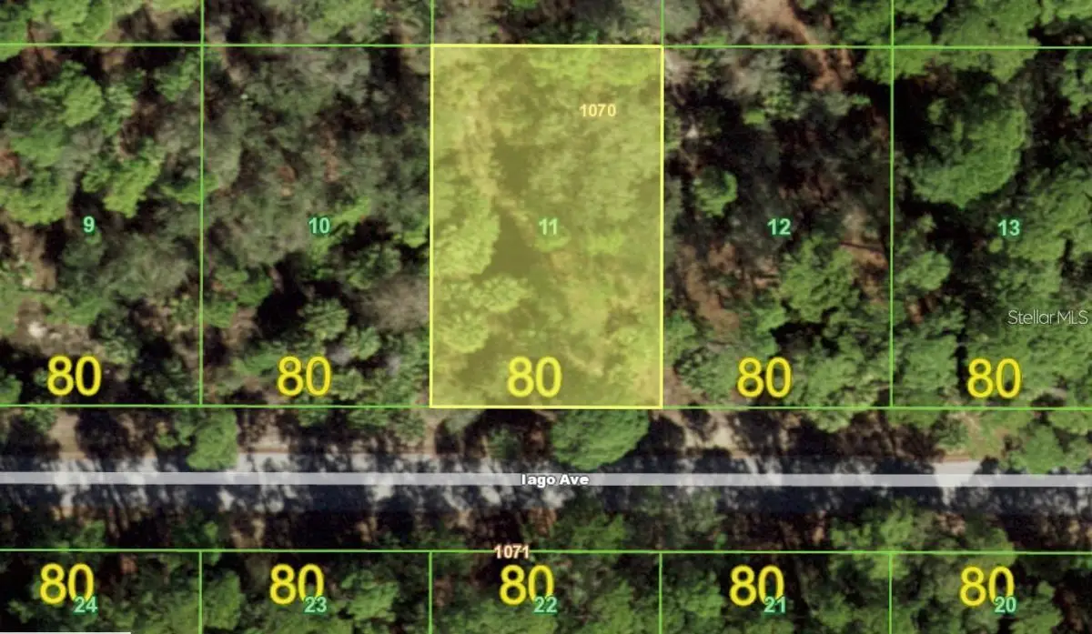 17452 Iago Avenue, Port Charlotte, FL 33954 - #1