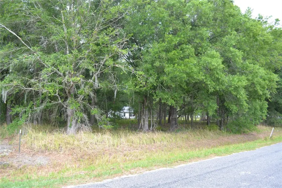 Bostick Road, Bowling Green, FL 33834 - #2