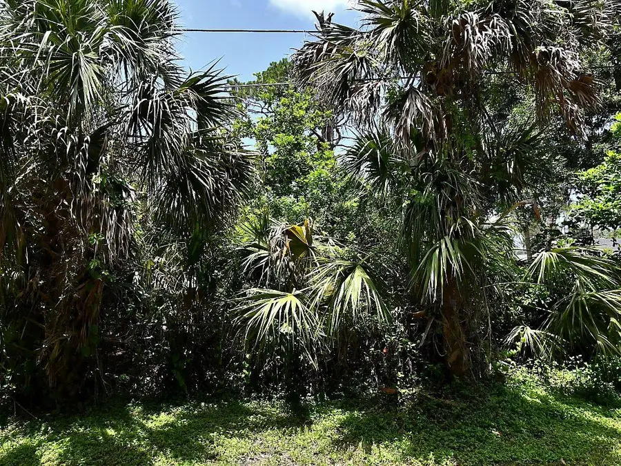Glenwood Avenue, Osprey, FL 34229 - #2