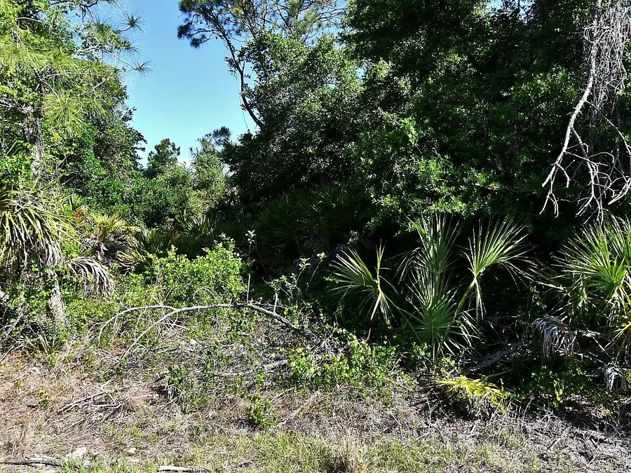 Lot 7 Barcelona Drive, North Port, FL 34288 - #3