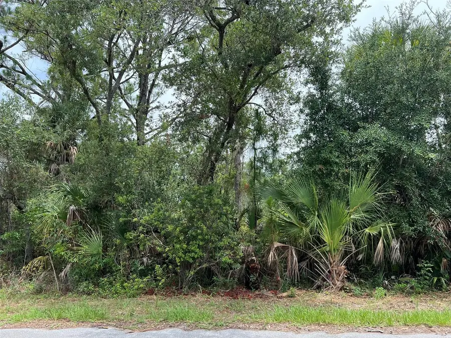 13414 Carrie Avenue, Port Charlotte, FL 33953 - #3