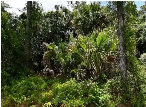 Jagust Road, North Port, FL 34288 - #2
