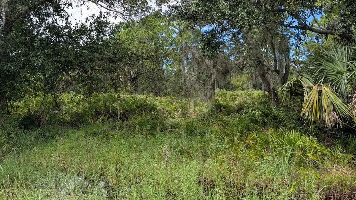 3241 Douglas Road, Port Charlotte, FL 33980 - #1