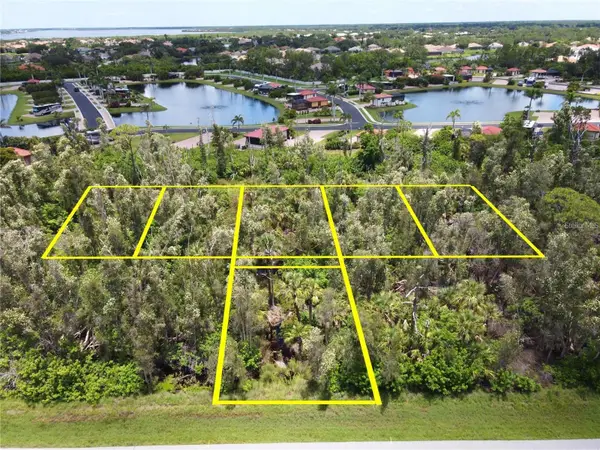 14120 Myakka Avenue, PORT CHARLOTTE, FL 33953