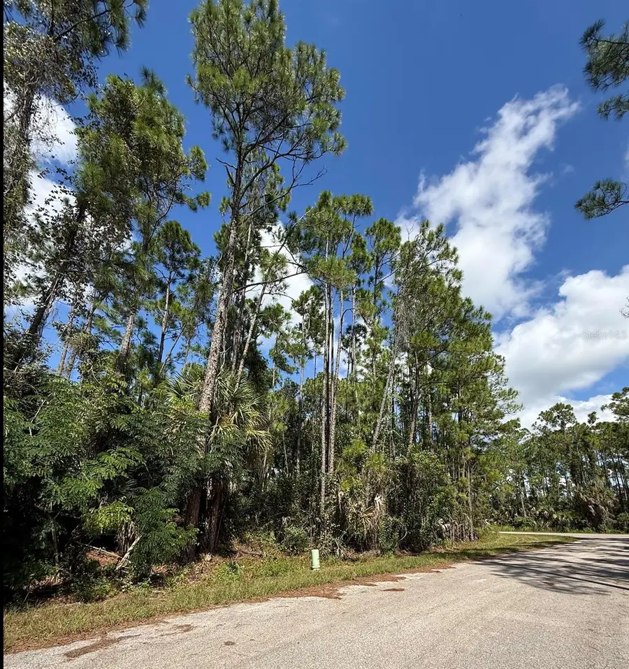 Carmelia Street, North Port, FL 34288 - #2