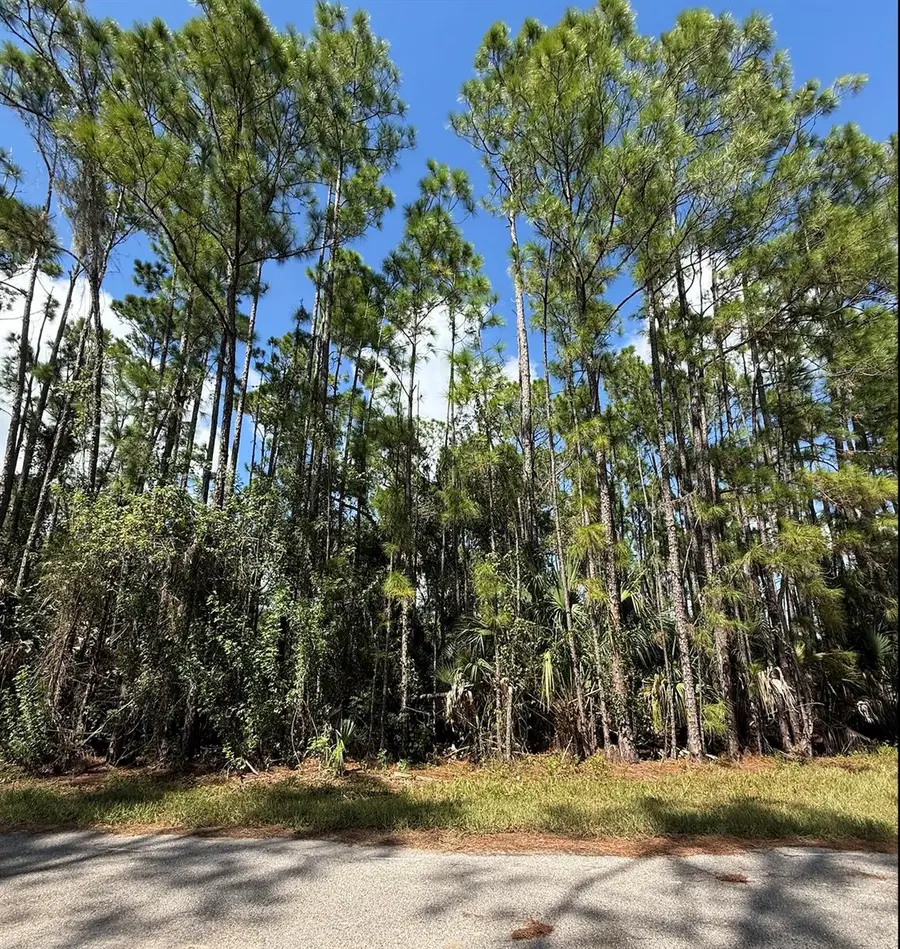 Carmelia Street, North Port, FL 34288 - #3
